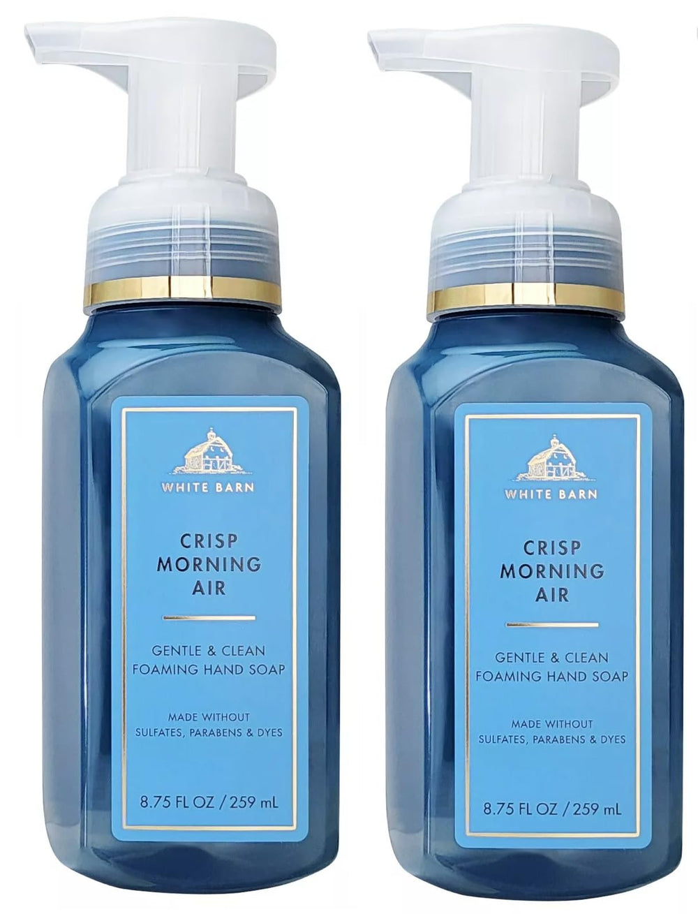 Bath & Body Works Crisp Morning Air foaming soap close-up showing rich lather and refreshing scent.