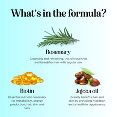 Maple Holistics Biotin shampoo ingredients close-up emphasizing natural extracts