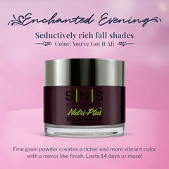 SNS Enchanted Evening color swatch shows rich purple-plum with shimmer