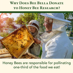 Bee Bella lip balm holiday gift box packaging highlighted for gifting.