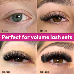 Eyesy Lash 500 Promade Fans symmetrical design for even, fluffy volume.