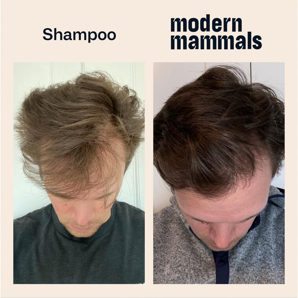 Modern Mammals Light Shampoo Bar travel-ready in a compact case