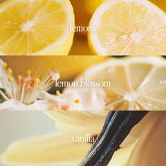 Noteworthy n,144 Brightside features lemon blossom for a bright, airy feel.