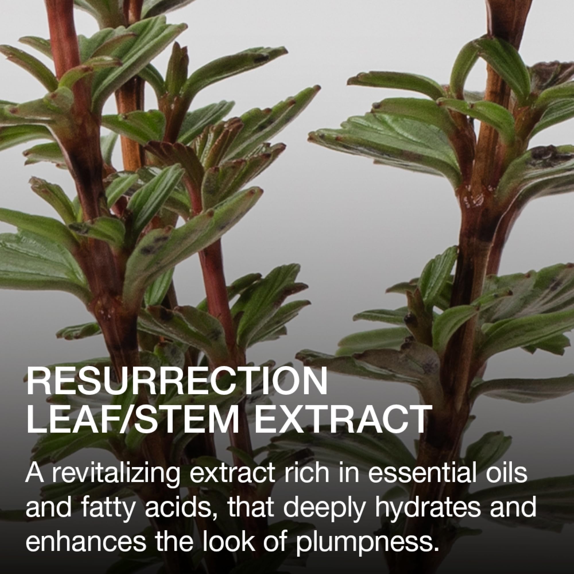 Packaging detail highlights a clean, microplastics-free formula.