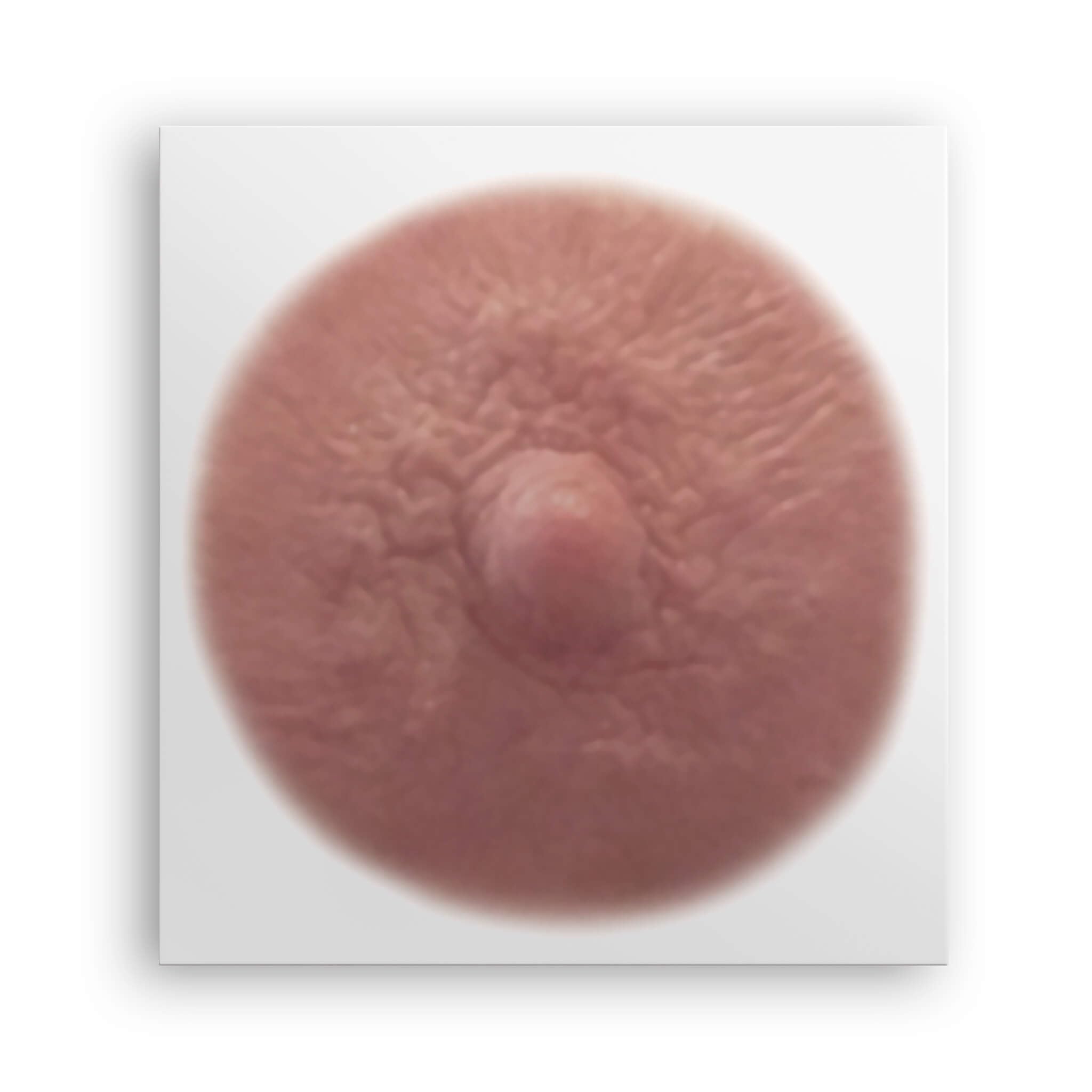 TataTattoos realistic flat nipple ginger medium for a natural post-mastectomy look