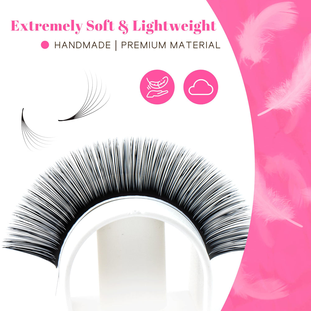 TDANCE curl stability feature six month hold for D curl lashes