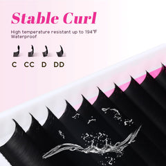 TDANCE mega volume lashes 12-row tray closeup shows full fluffy look.